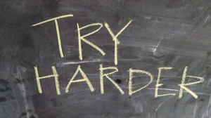 IMG_20141125_145605620